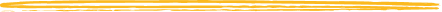 Vector