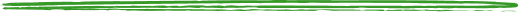 Vector